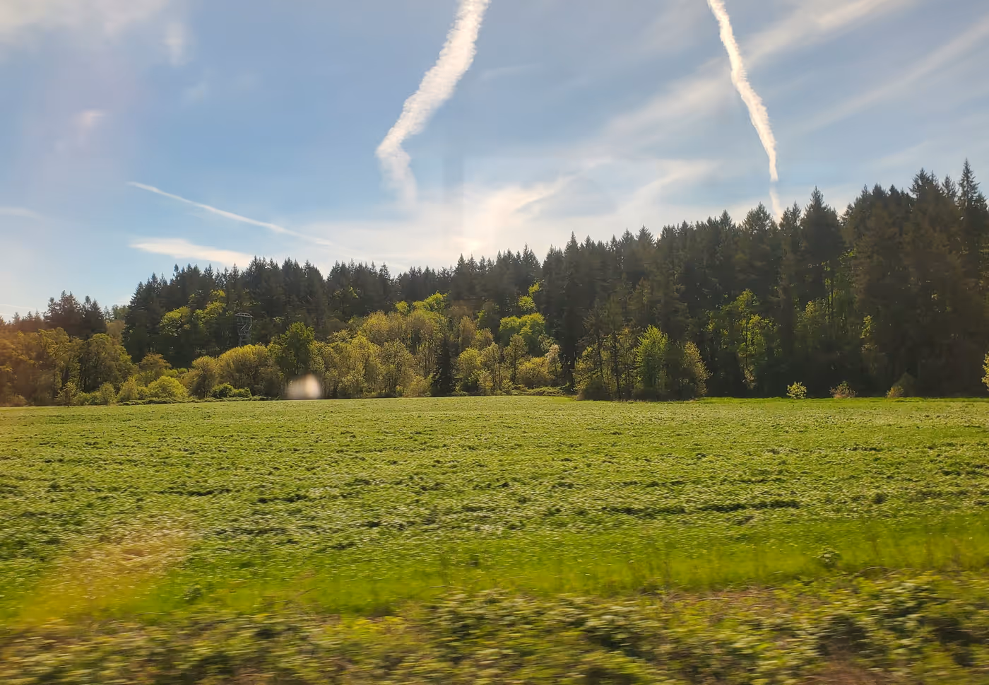 "a grassy field framed by a low hill hill coated in a dense forest of deciduous and coniferous trees, with the reflection of a train window faintly visible in the foreground"